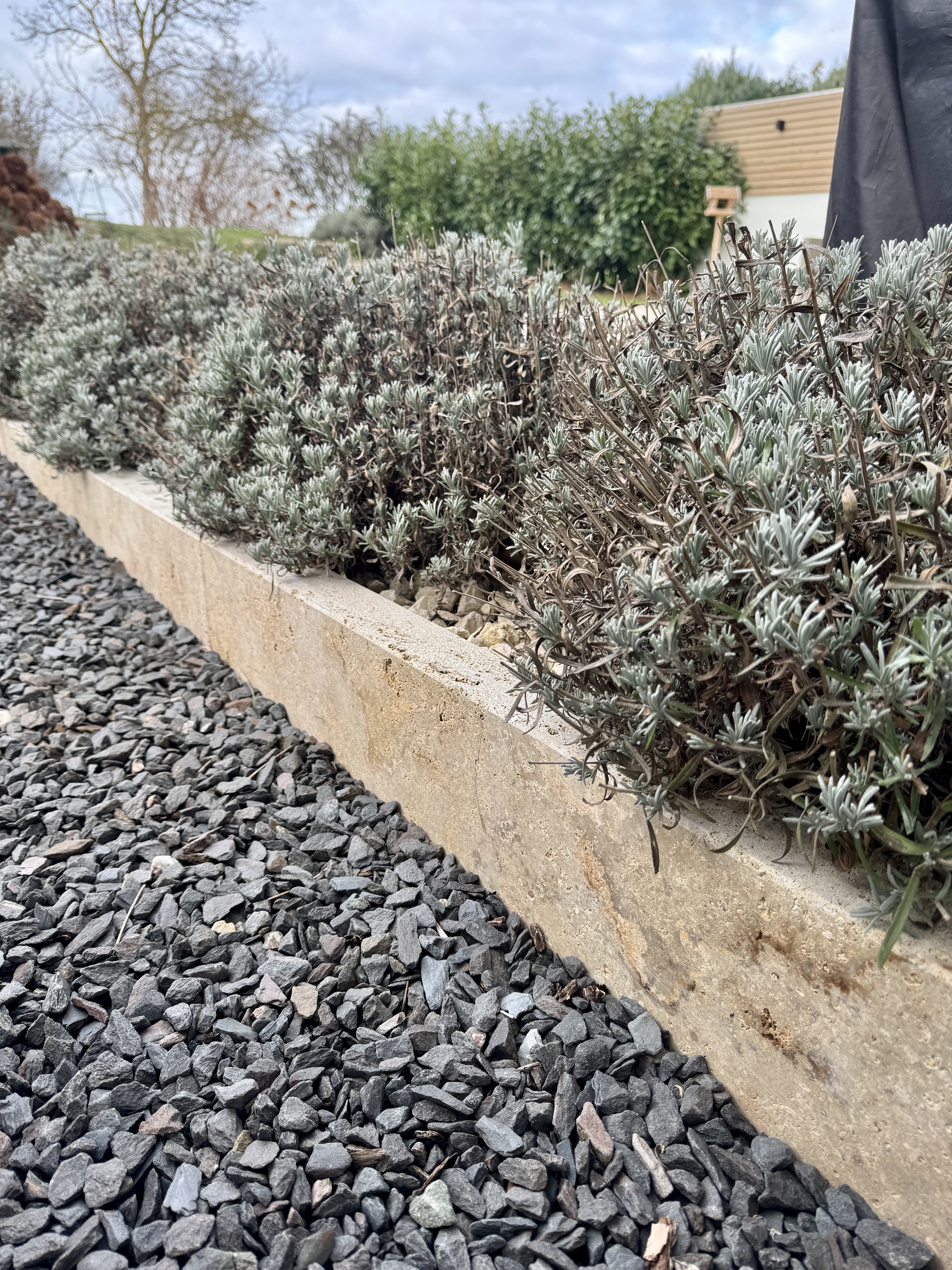 Travertin Medium - Randstein 20 cm